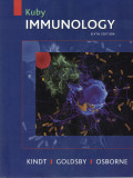 Kuby Immunology