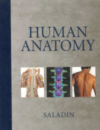 Image of Human Anatomy